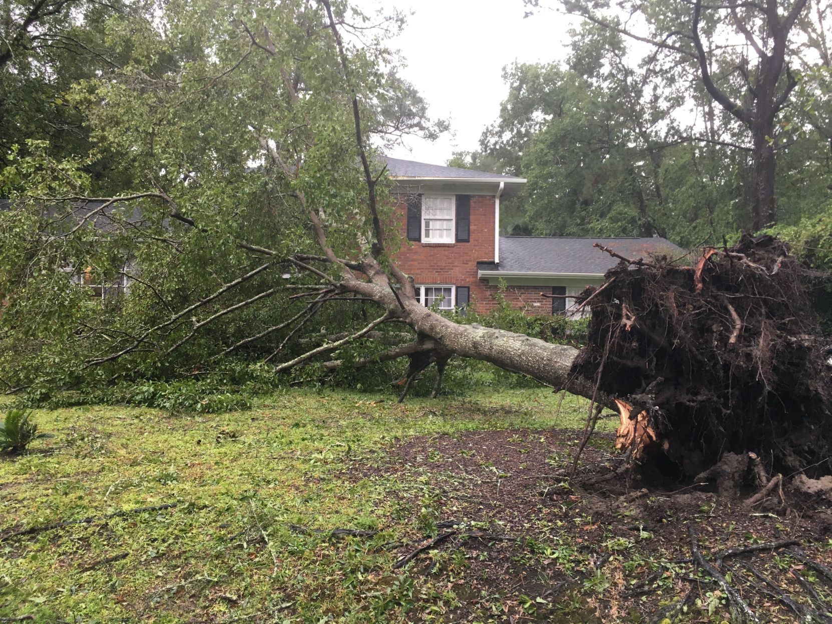 Dorian knocked down a large oak in West Ashley's Charlestowne Estates